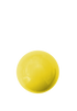 Smooth Training Ball Various